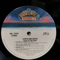 画像4: Curtis Mayfield / LOVE IS THE PLACE