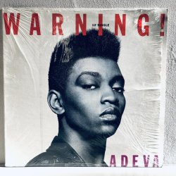 画像1: ADEVA / WARNING! 12" E.P.