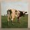 画像1: PINK FLOYD / ATOM HEART MOTHER (1)