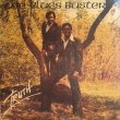 画像1: THE BLUES BUSTERS / TRUTH