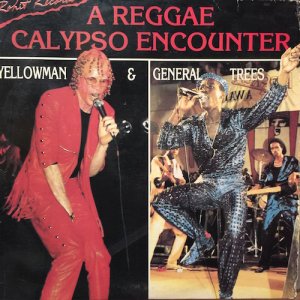 画像: YELLOWMAN & GENERAL TREES / A REGGAE CALYPSO ENCOUNTER