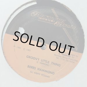 画像: BERES HAMMOND / GROOVY LITTLE THING