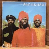 画像: ABYSSINIANS / ARISE