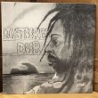 画像1: Bullwackies All Stars / NATURES DUB 