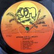 画像4: JOE GIBBS & THE PROFESSIONALS / AFRICAN  DUB ALL-MIGHTY CHAPTER 1