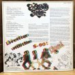 画像2: BIG YOUTH / EVERYDAY SKANK BEST OF BIG YOUTH