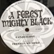 画像1: A FOREST MIGHTY BLACK / CANDYFLOSS b/w FRESH IN MY MIND  12"E.P.