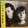 画像1: TEARS FOR FEARS / Songs From The Big Chair  シャウト - ティアーズ・フォー・フィアーズ