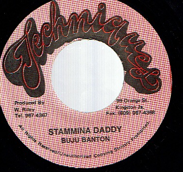 画像1: BUJU BANTON / STAMINA DADDY