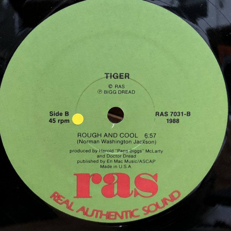 画像3: TIGER / DO IT ANY WAY　12"EP